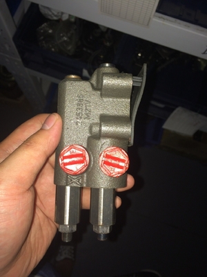 A10vg Serie A4vg180 A4vg90 A4vg45 A10V028 Bomba hidráulica para pistones de grúas