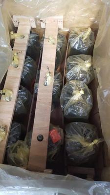 Bomba de pistón hidráulica de cilindro único A10vg28 para máquinas de construcción de excavadoras