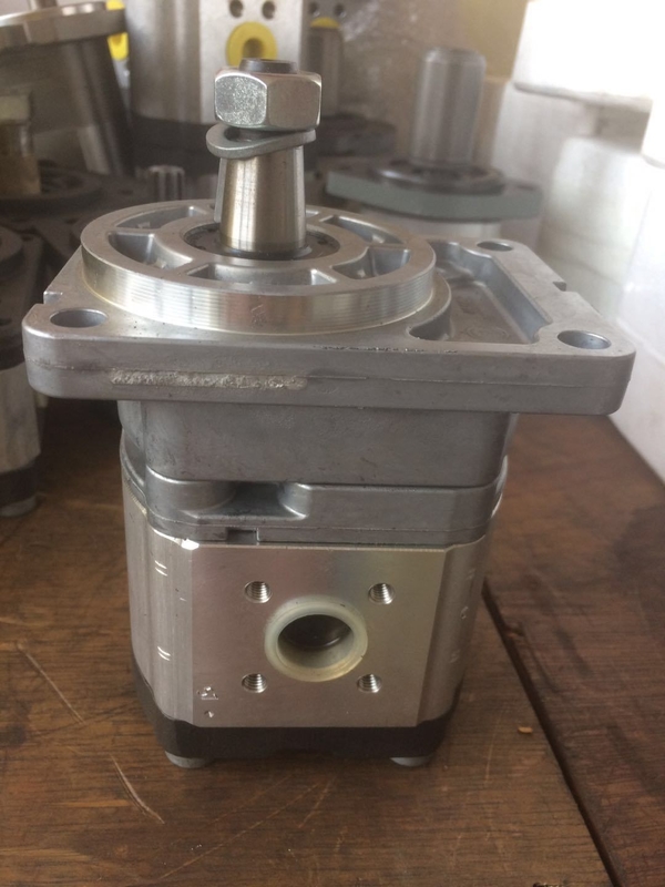 Bomba de engranaje hidráulico de hierro fundido Azpf-10-019rqrxxmb-S0140 para pagos seguros